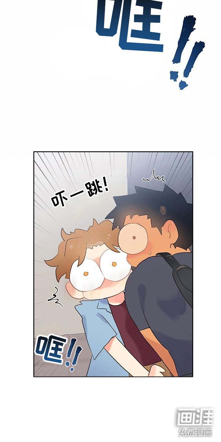 第6章：软件寻友