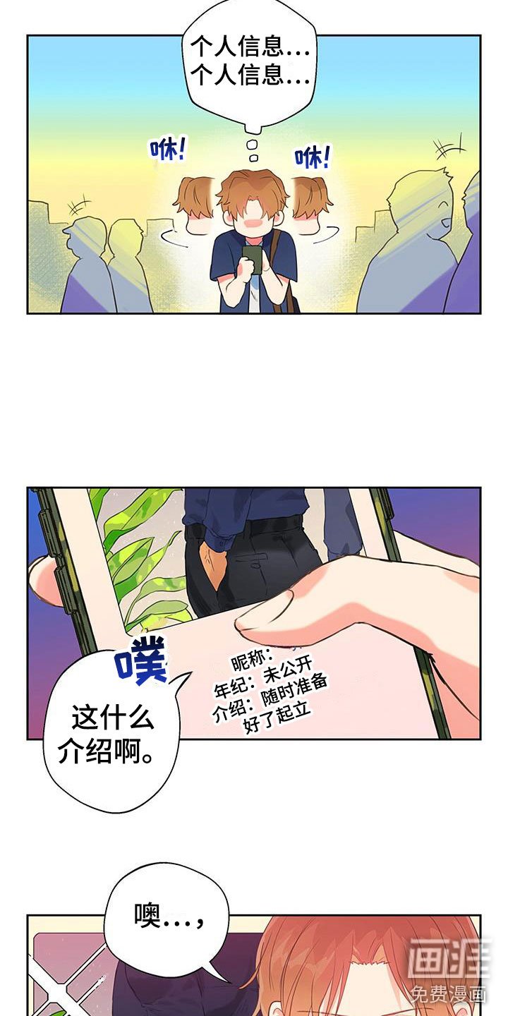 第6章：软件寻友