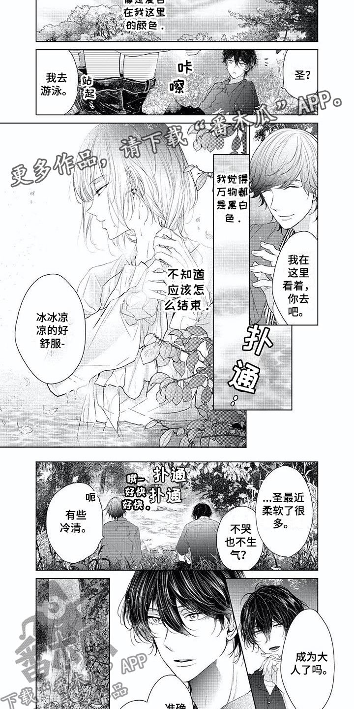 第14章：带你消失