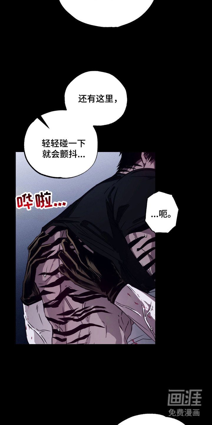 第11章：矢口否认