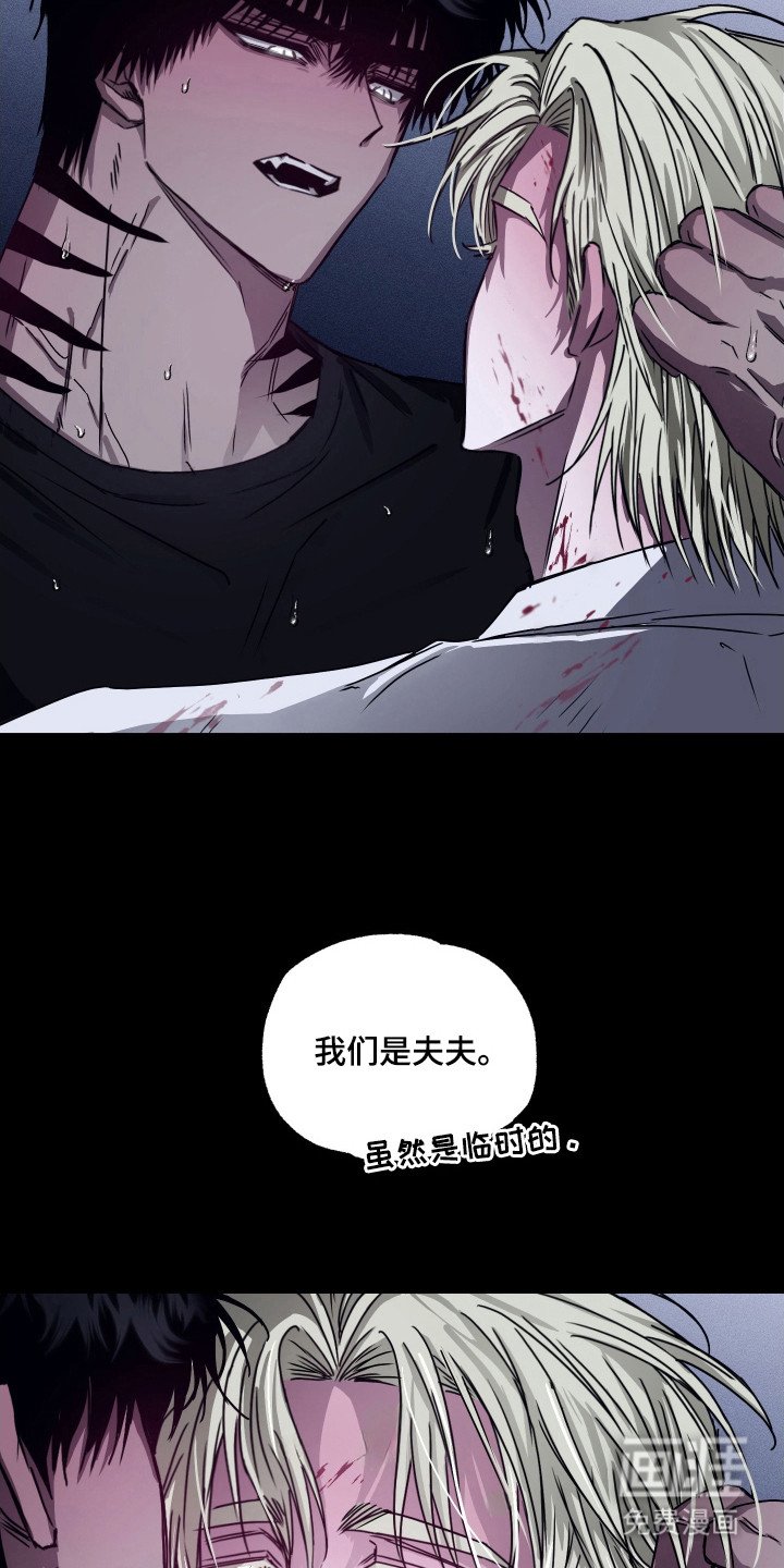 第11章：矢口否认