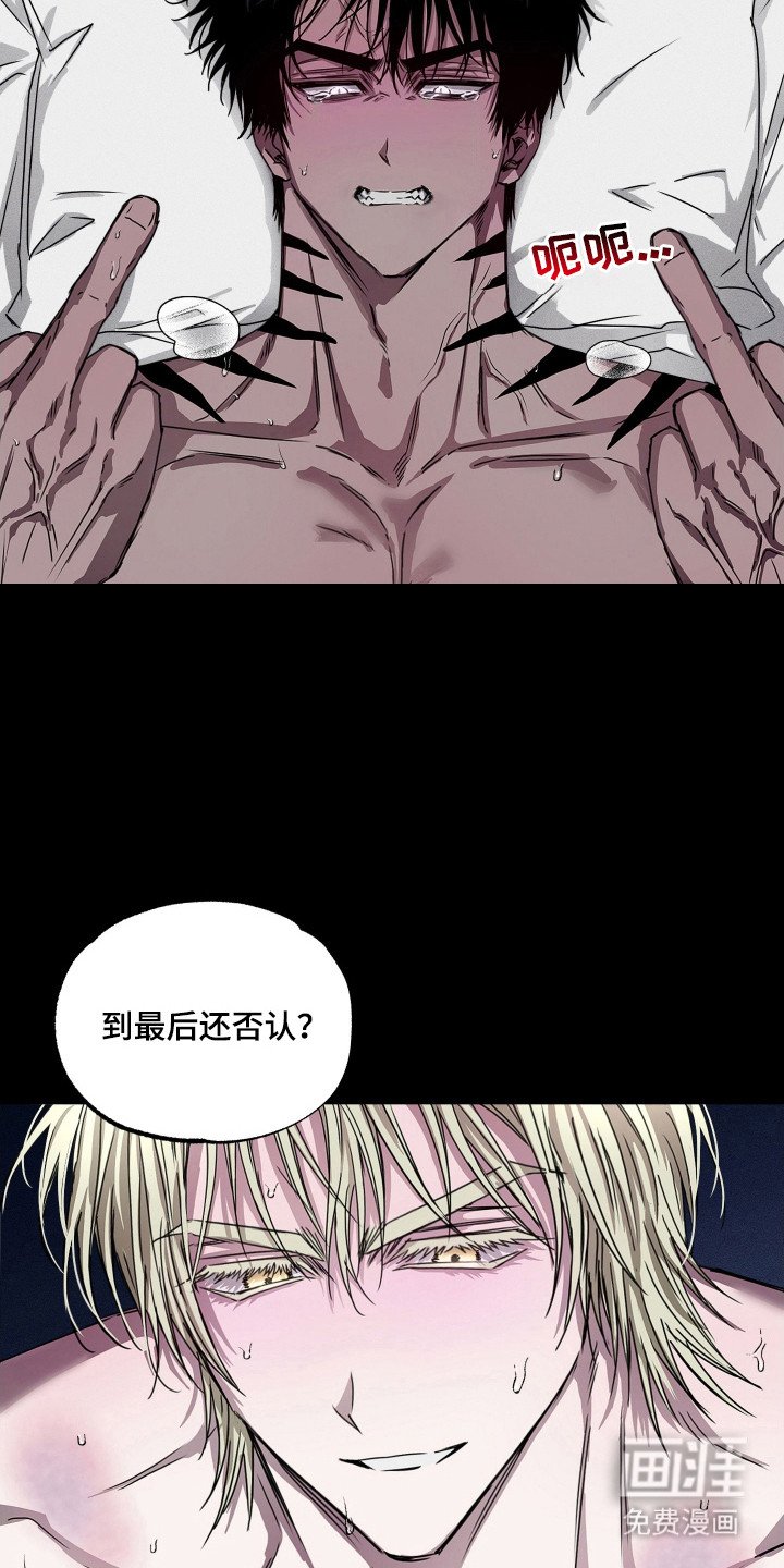 第11章：矢口否认