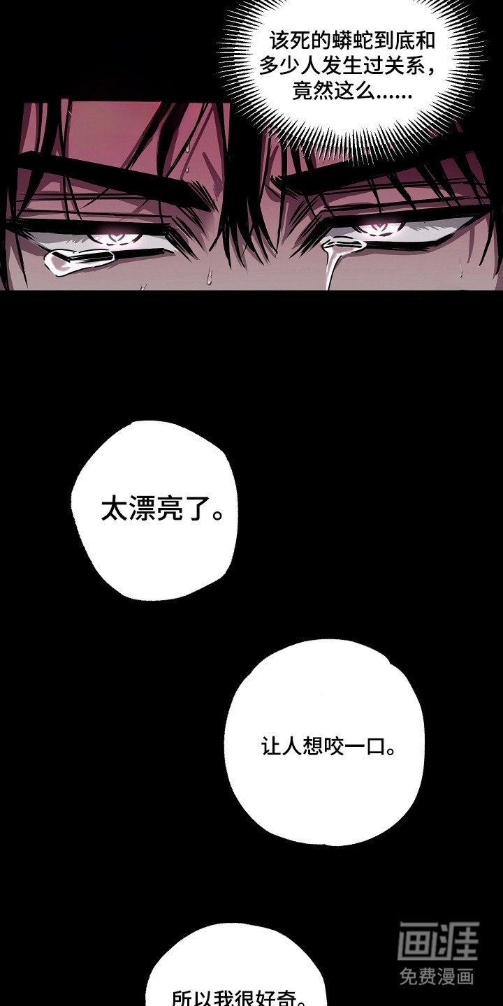 第12章：承受