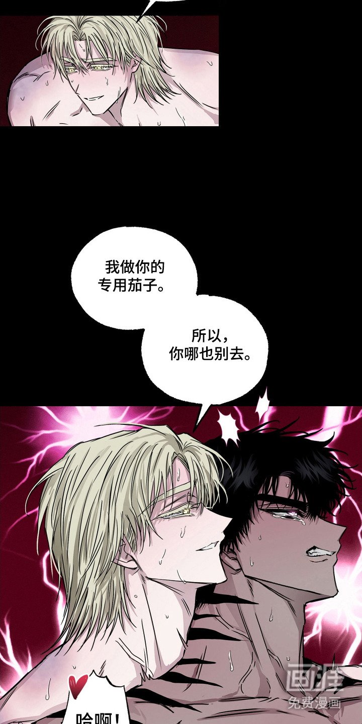 第12章：承受