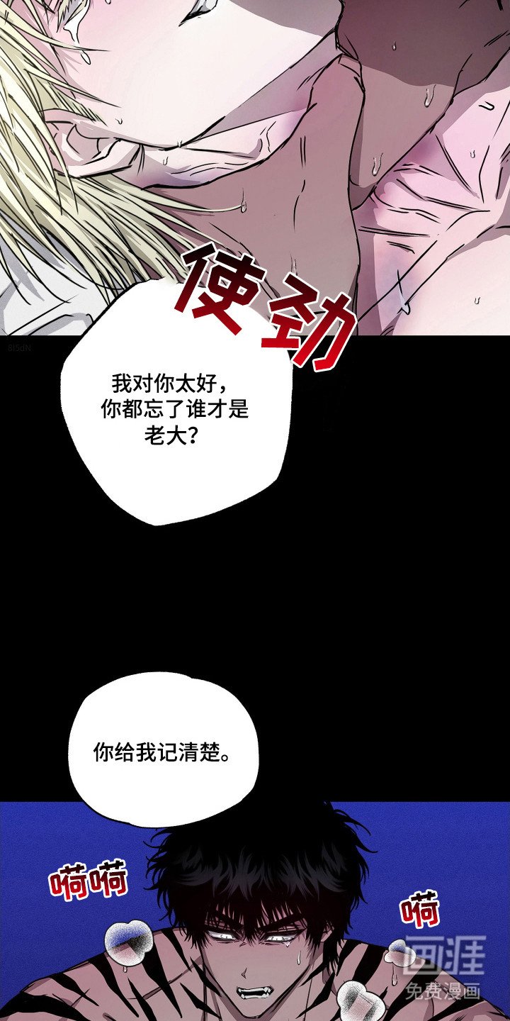 第12章：承受