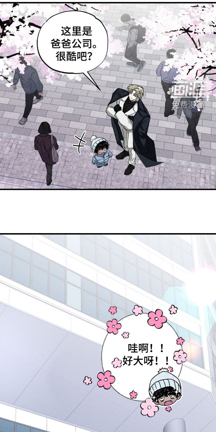第15章：资料