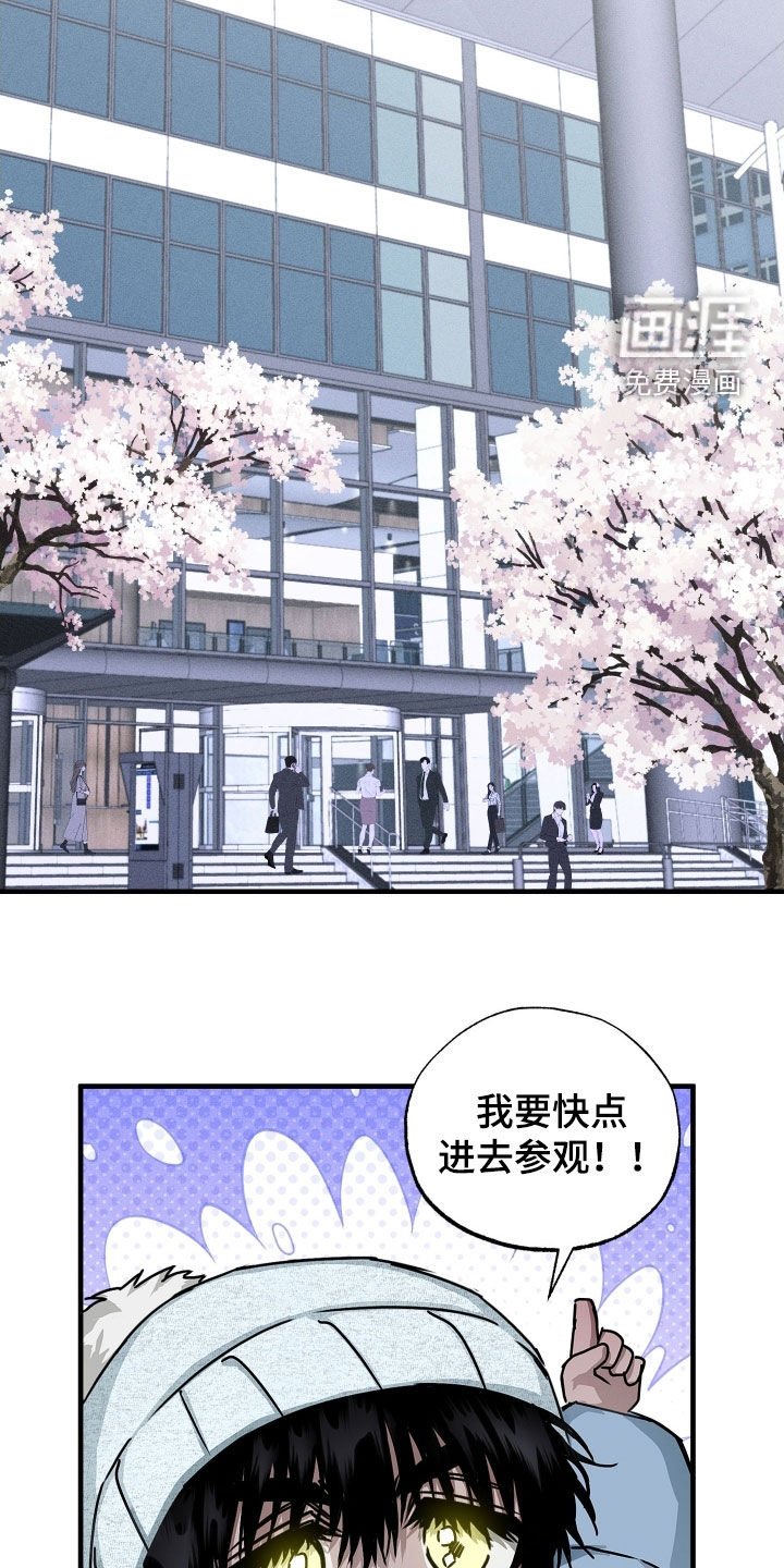 第15章：资料