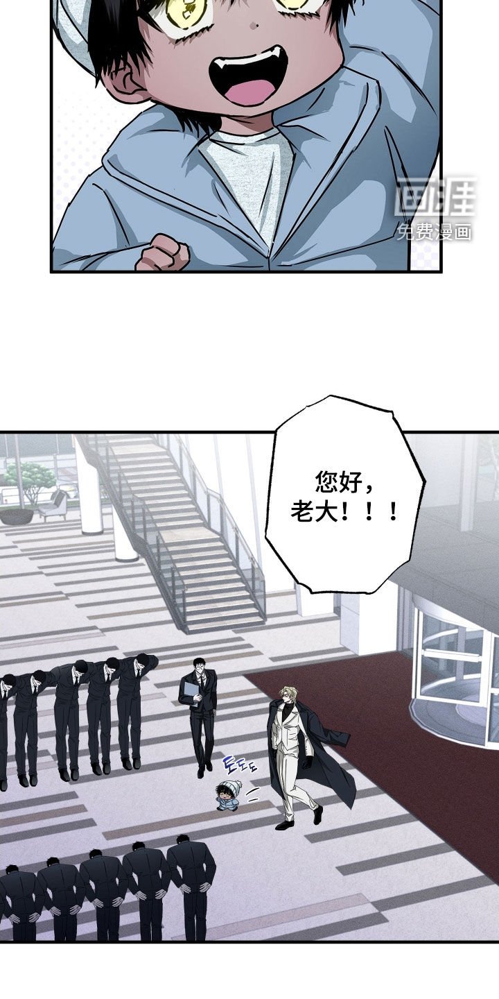 第15章：资料
