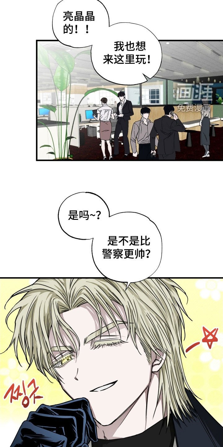 第15章：资料