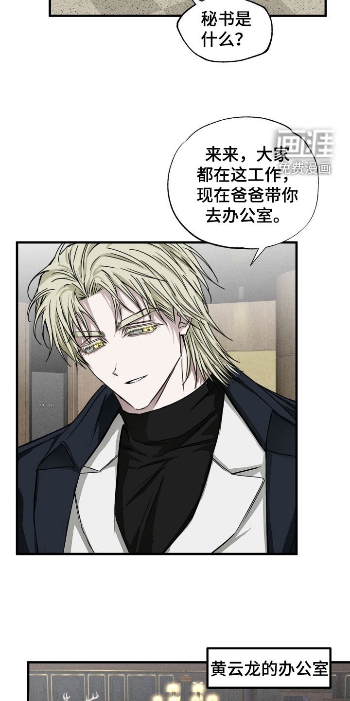第15章：资料