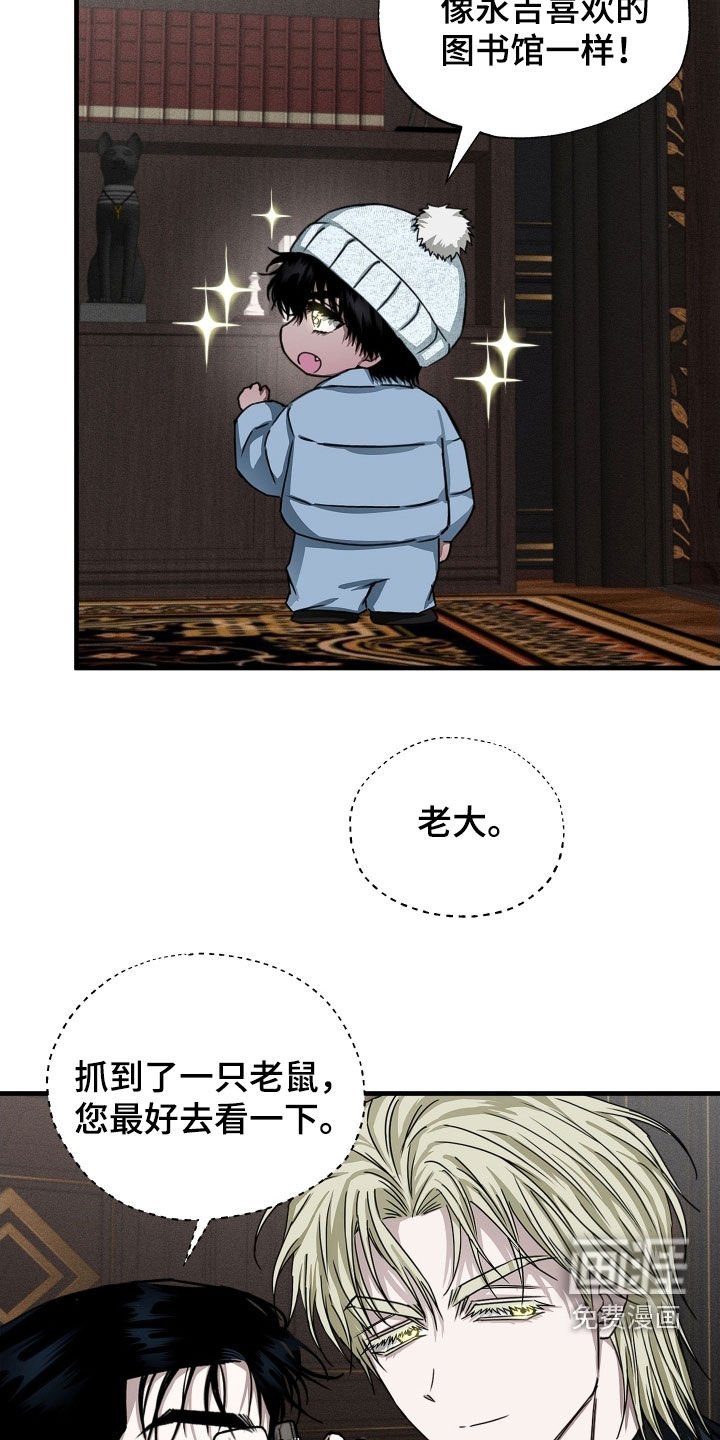 第15章：资料