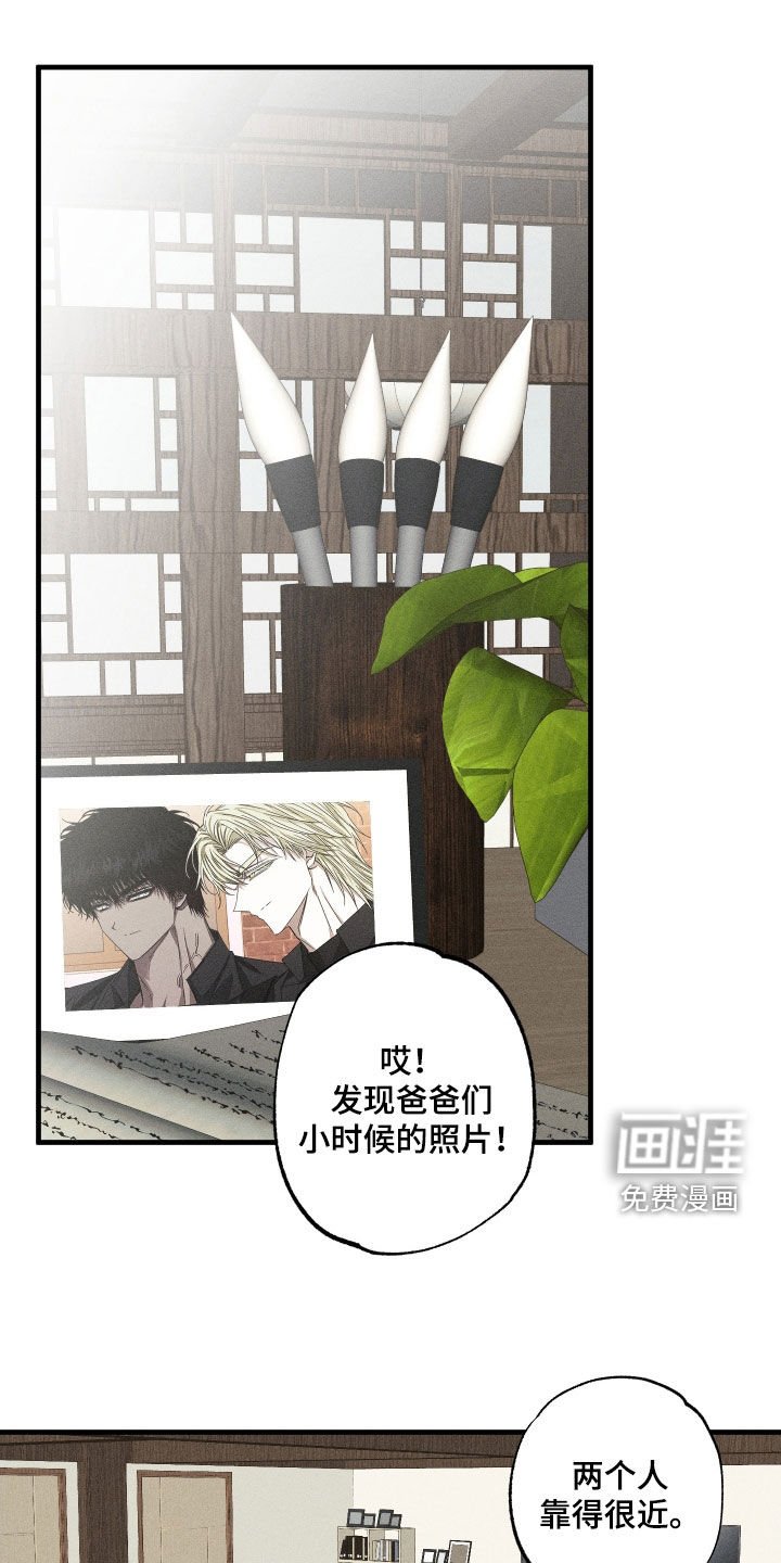 第25章：胖猫风虎