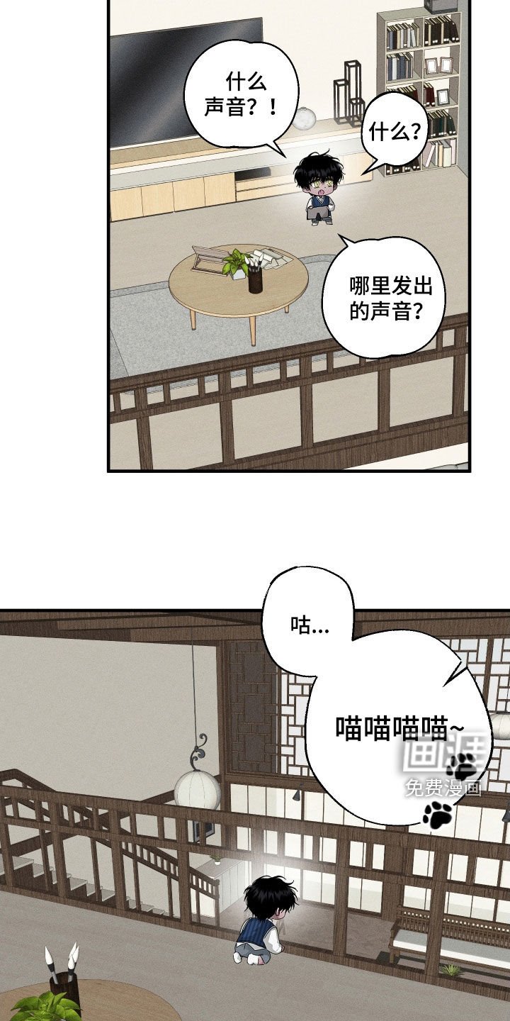 第25章：胖猫风虎