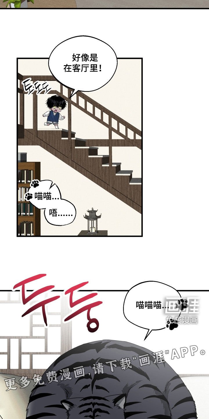 第25章：胖猫风虎