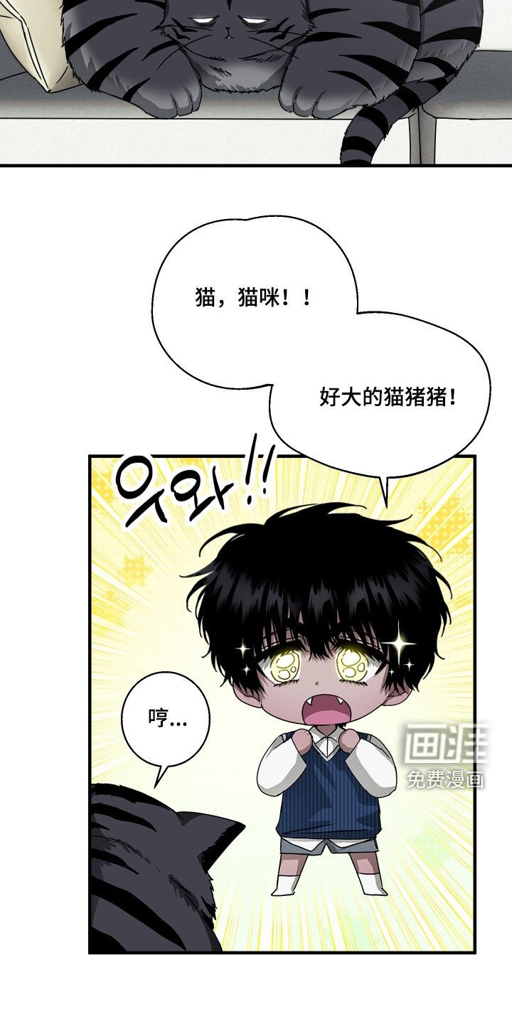 第25章：胖猫风虎