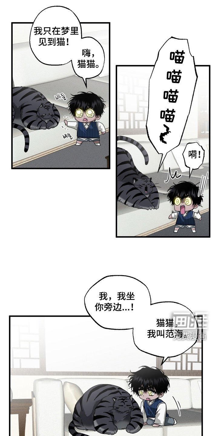 第25章：胖猫风虎