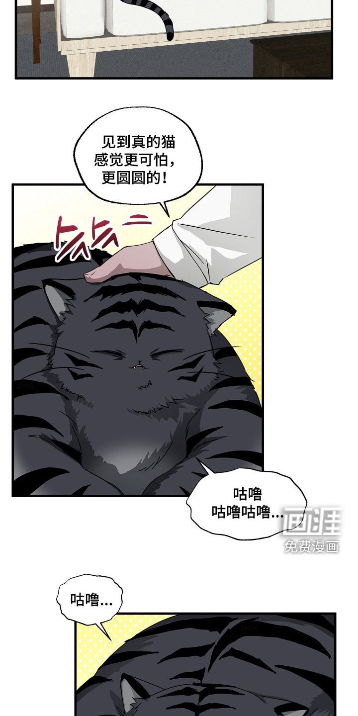 第25章：胖猫风虎