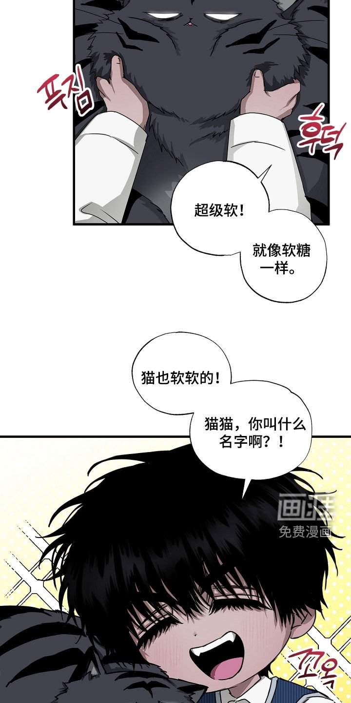 第25章：胖猫风虎