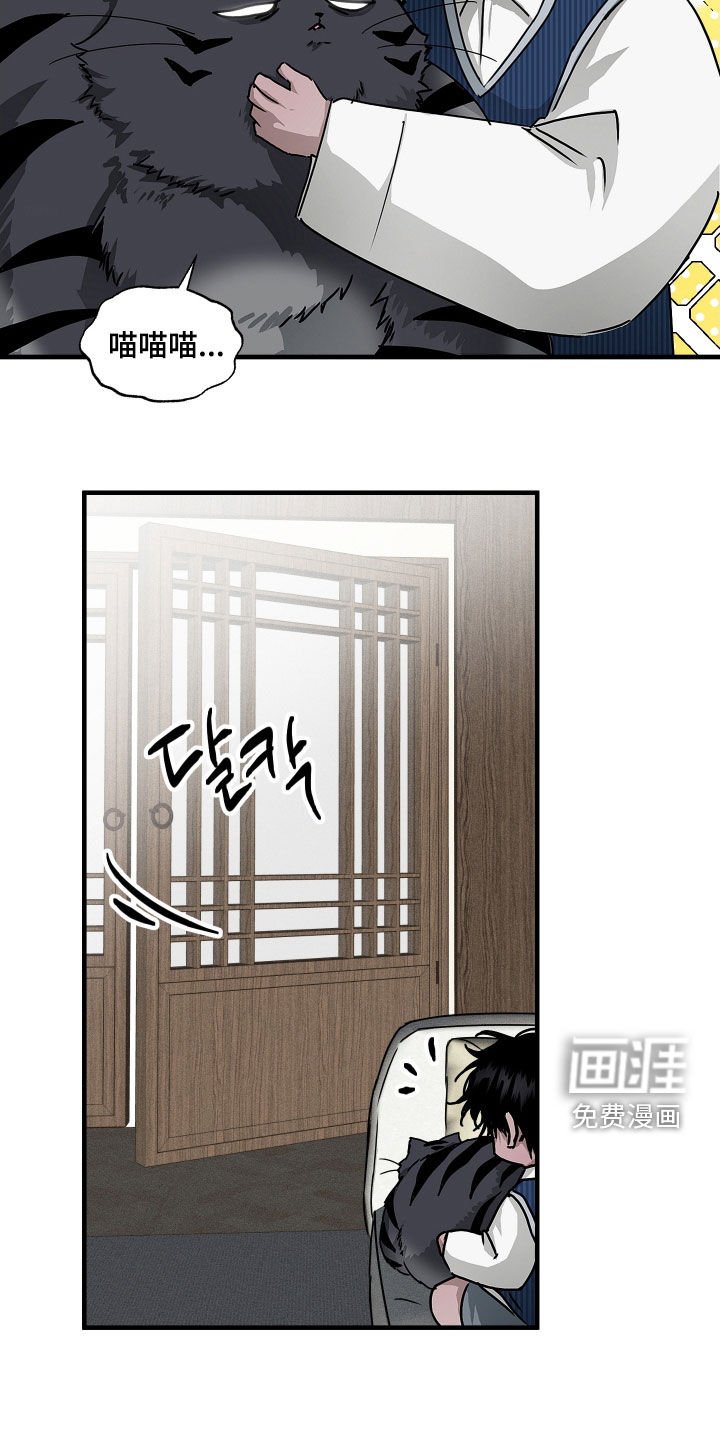 第25章：胖猫风虎