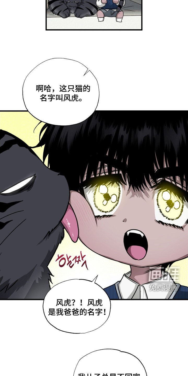 第25章：胖猫风虎