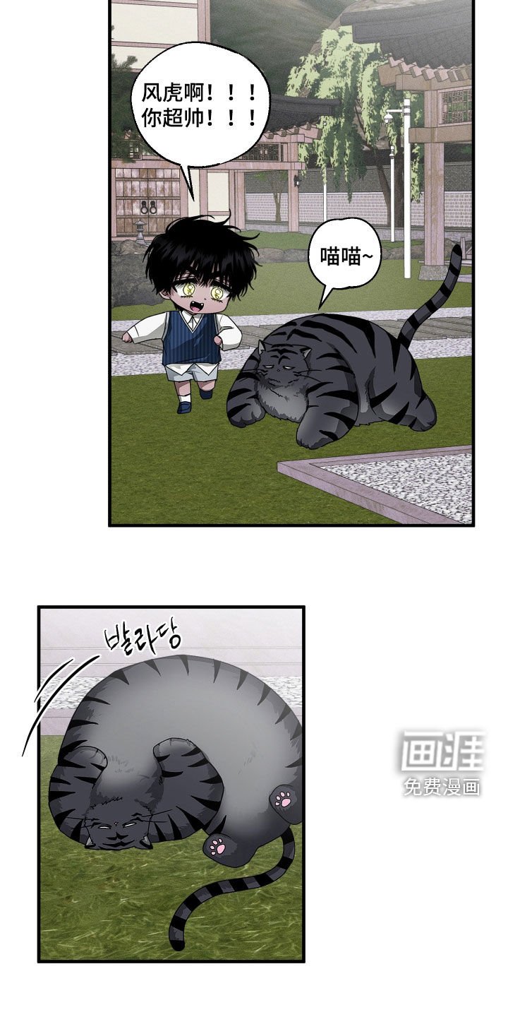 第25章：胖猫风虎