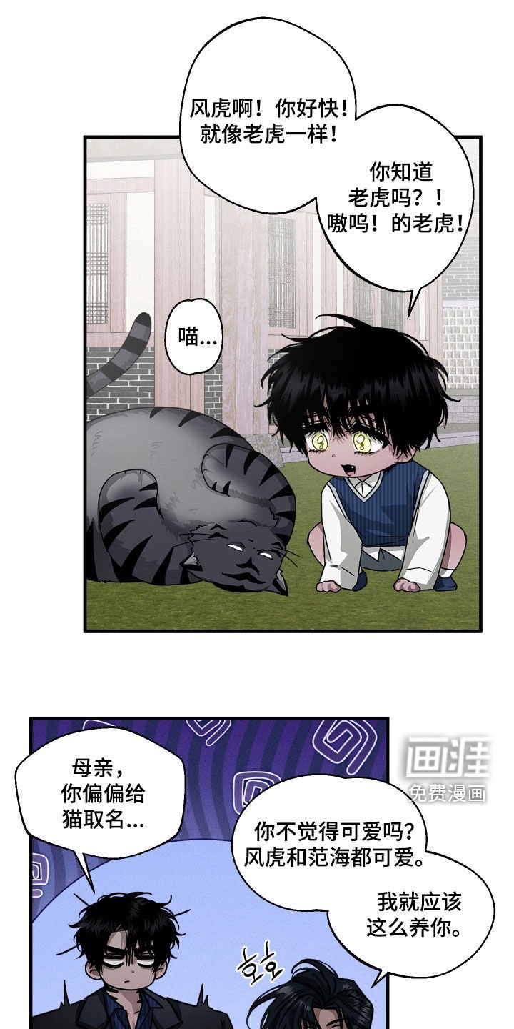 第25章：胖猫风虎