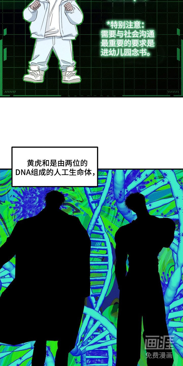 第3章：育儿项目
