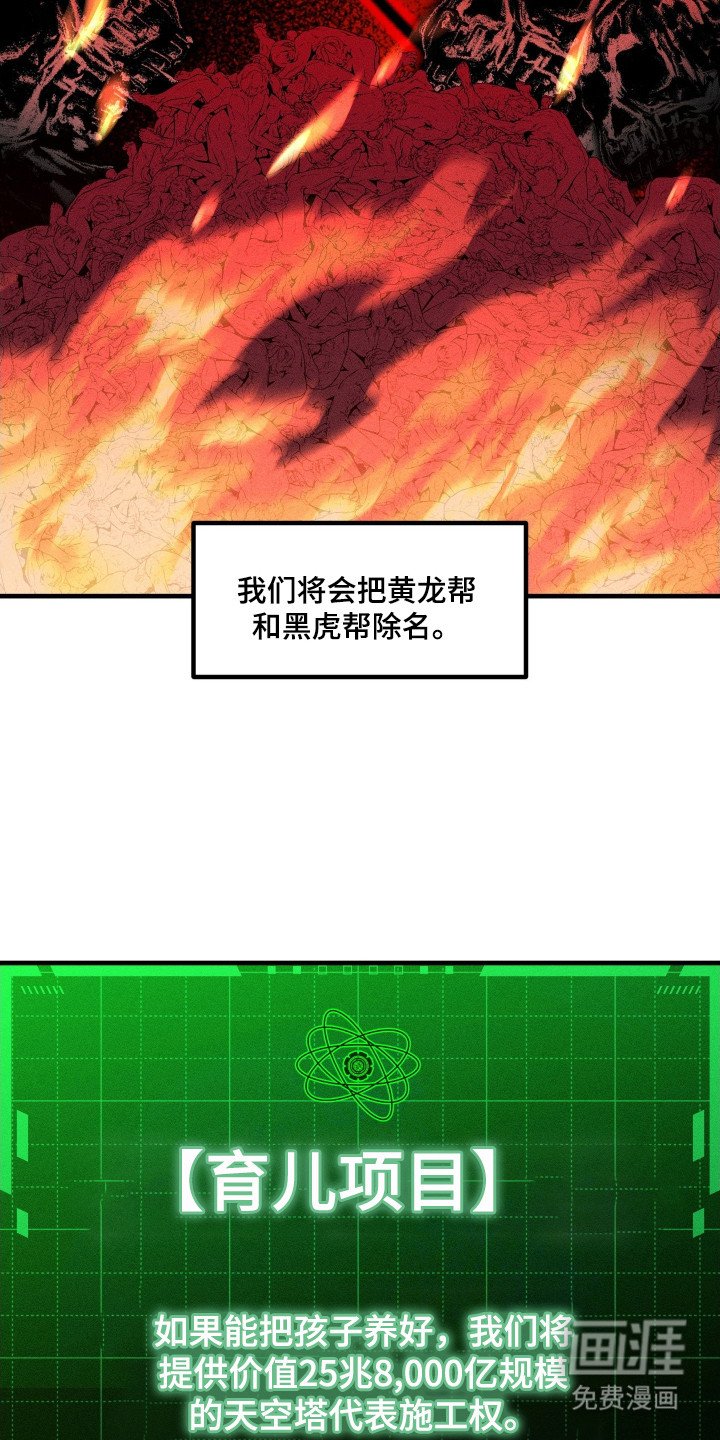 第3章：育儿项目