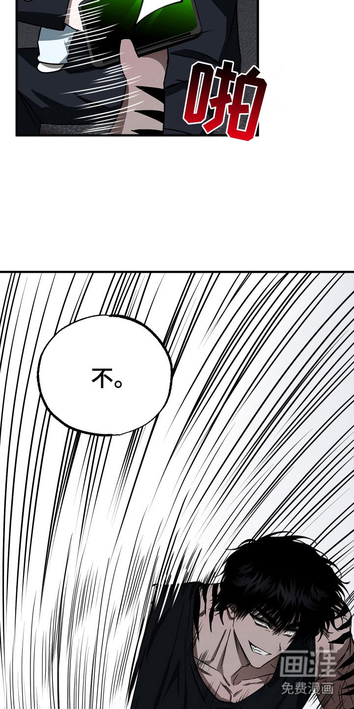 第3章：育儿项目