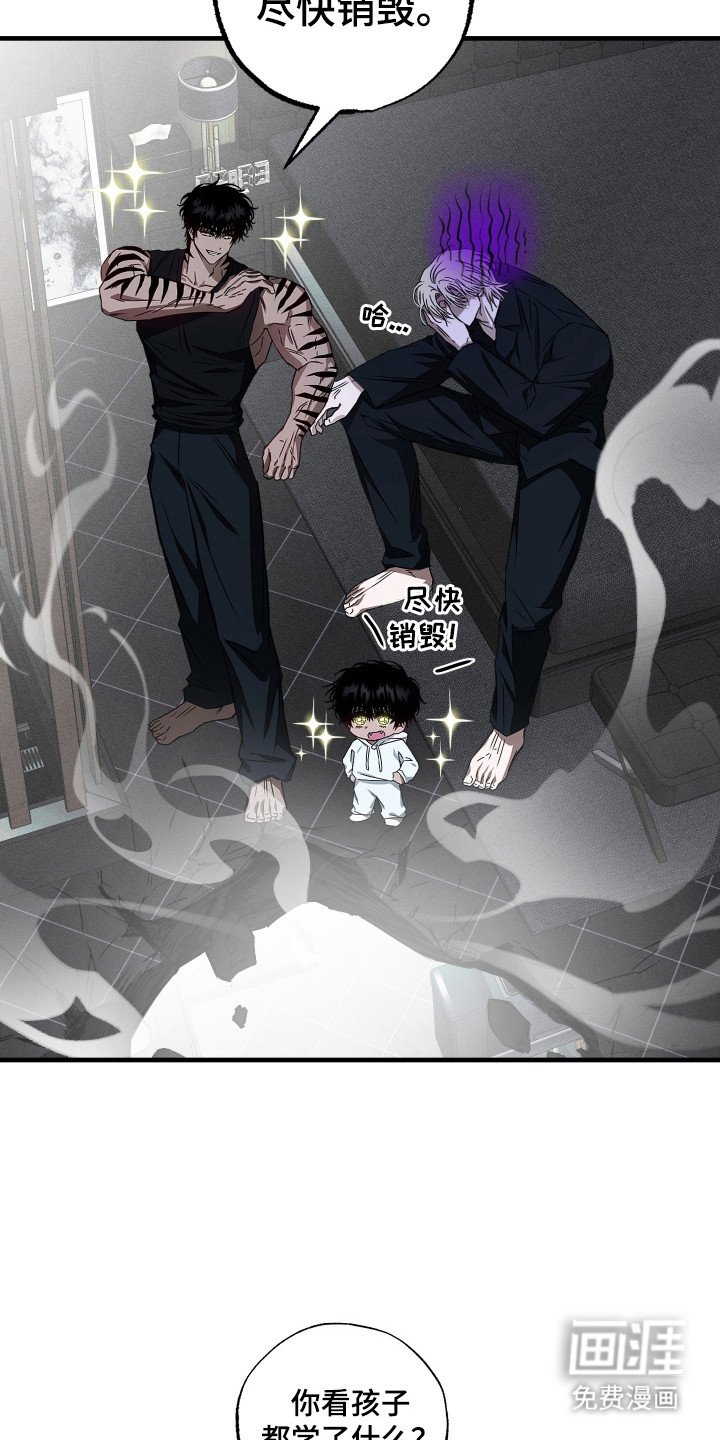 第3章：育儿项目