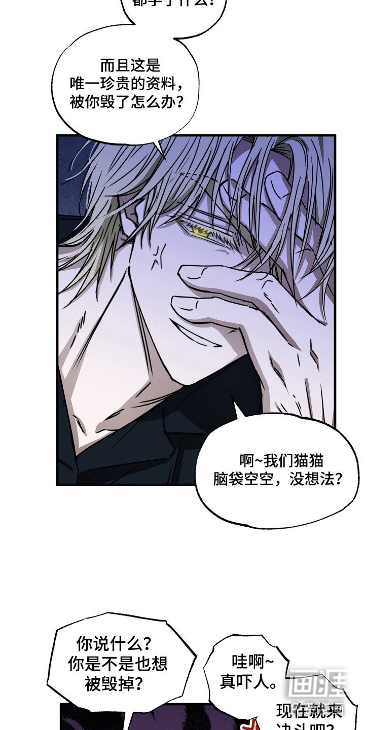 第3章：育儿项目