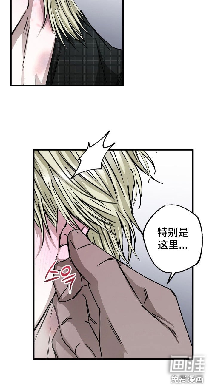 第31章：涂药