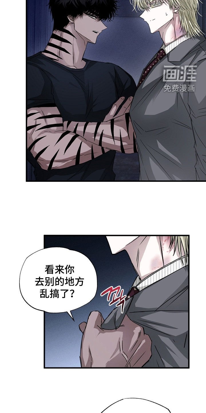 第35章：不值得信任