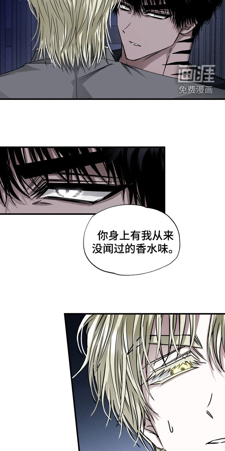 第35章：不值得信任