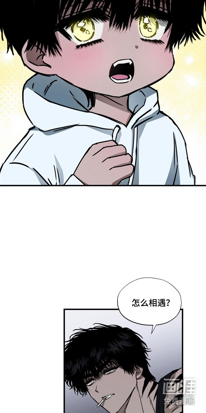第4章：下厨
