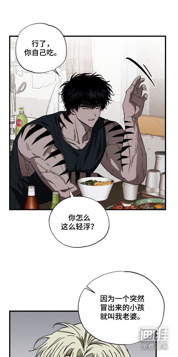 第6章：收藏品