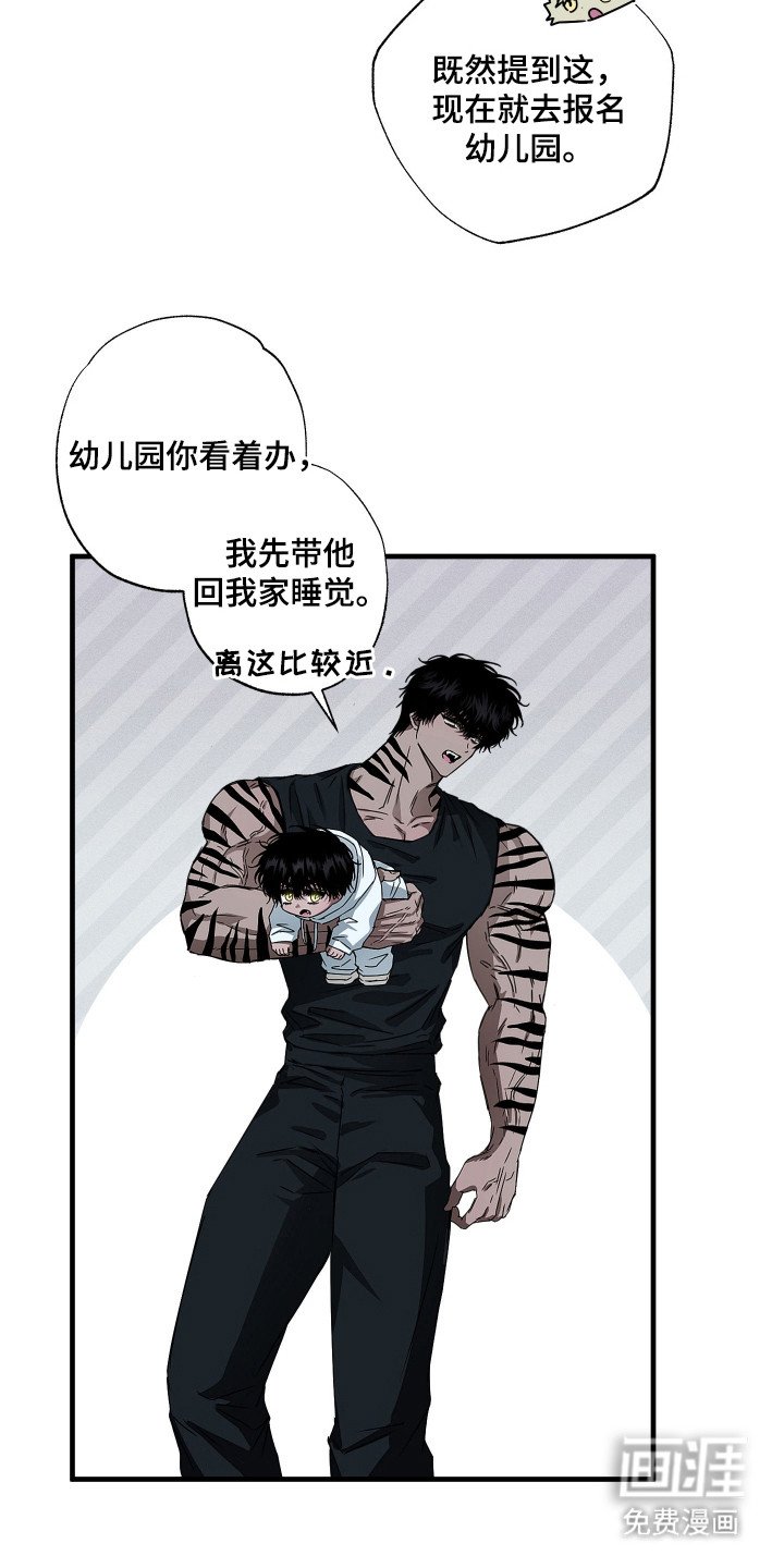 第6章：收藏品
