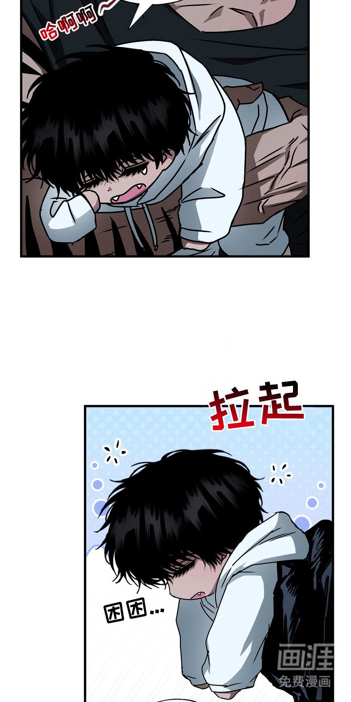 第6章：收藏品