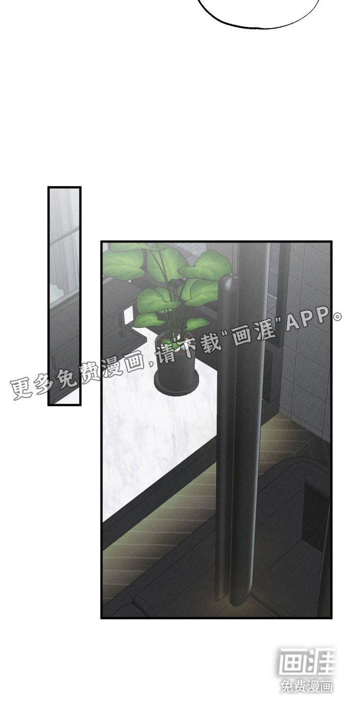 第6章：收藏品
