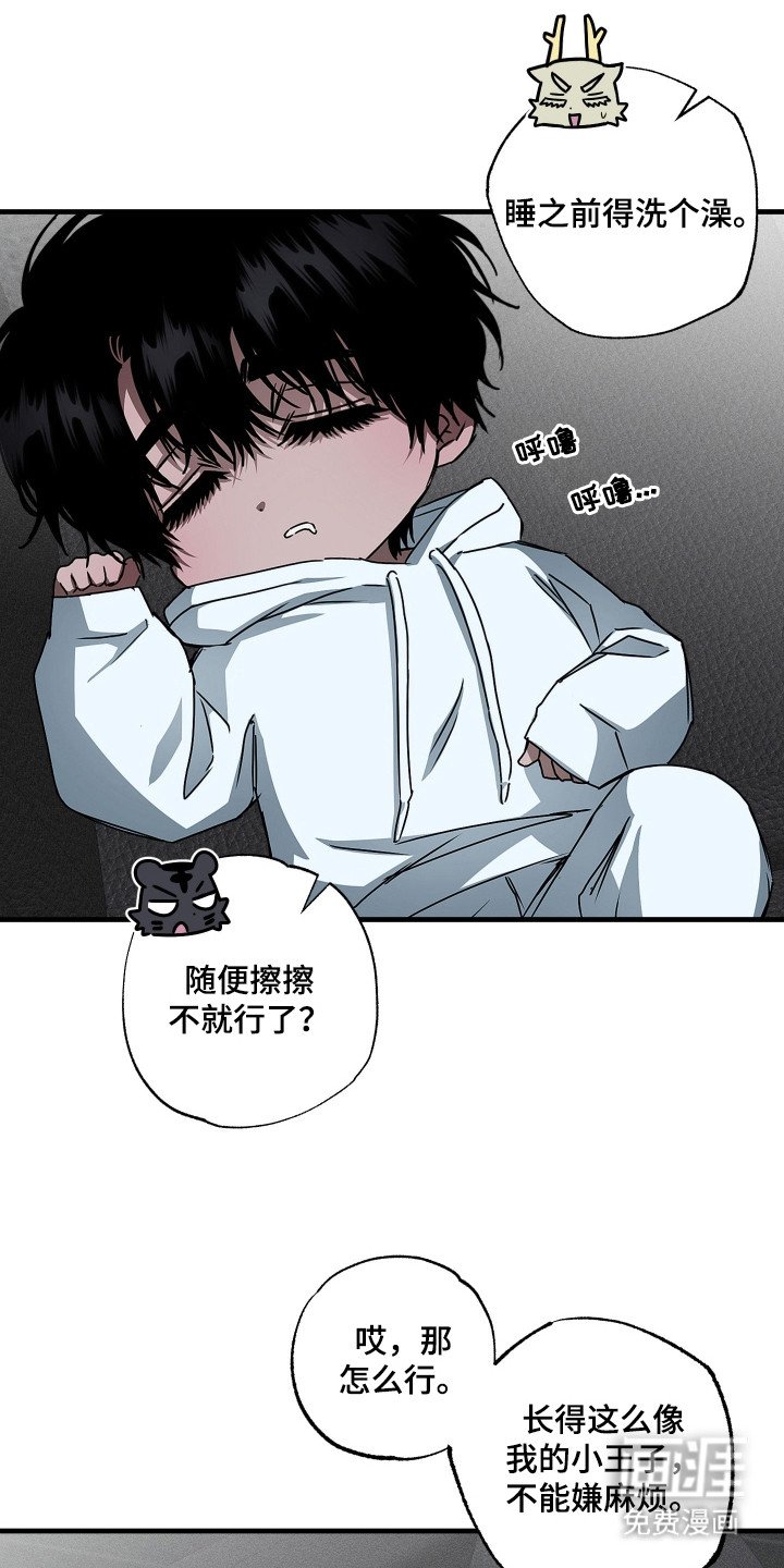 第6章：收藏品