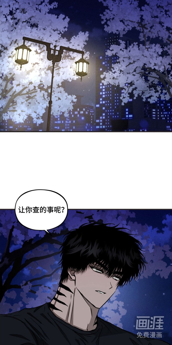 第7章： 调查