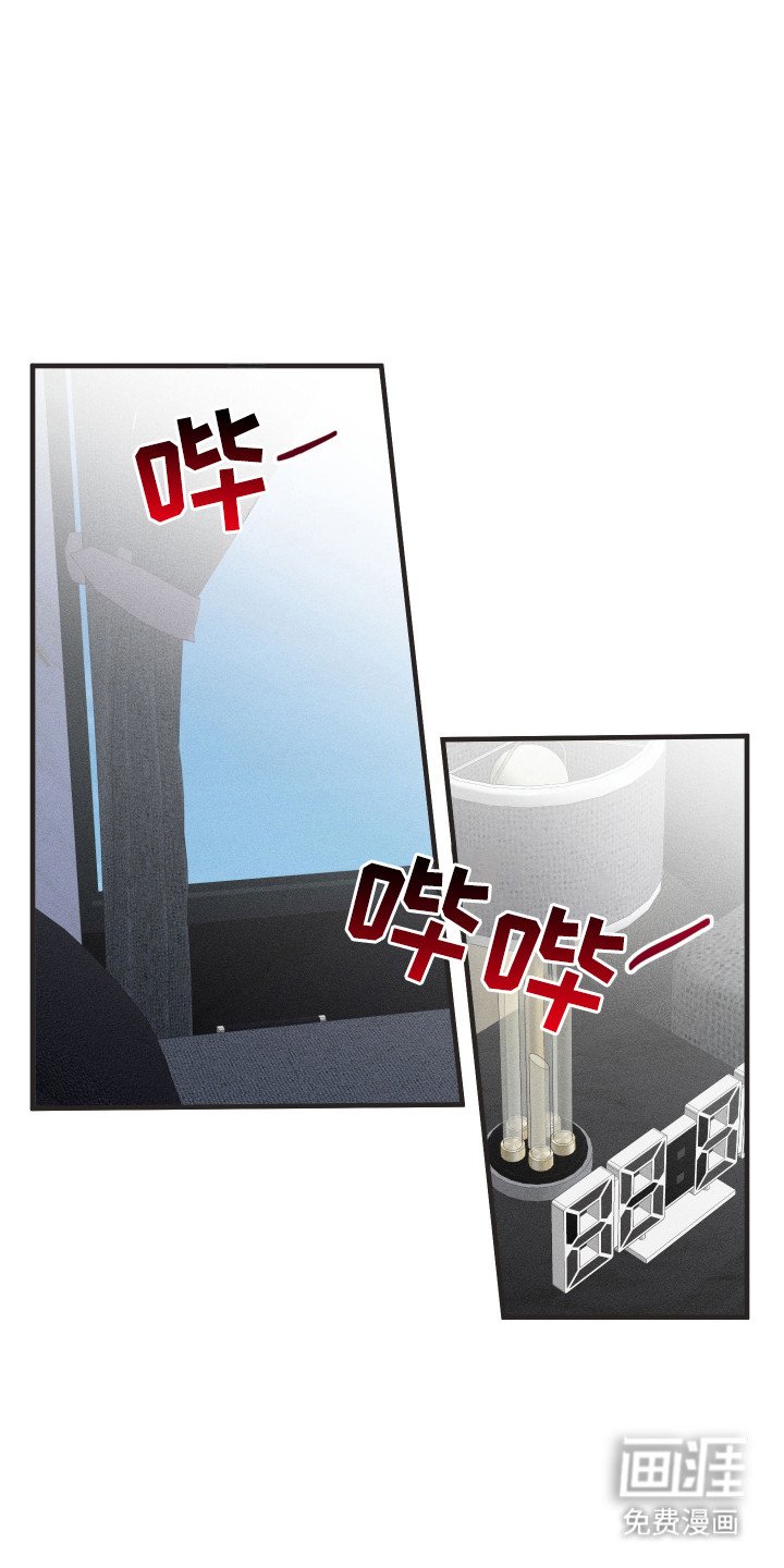 第7章： 调查