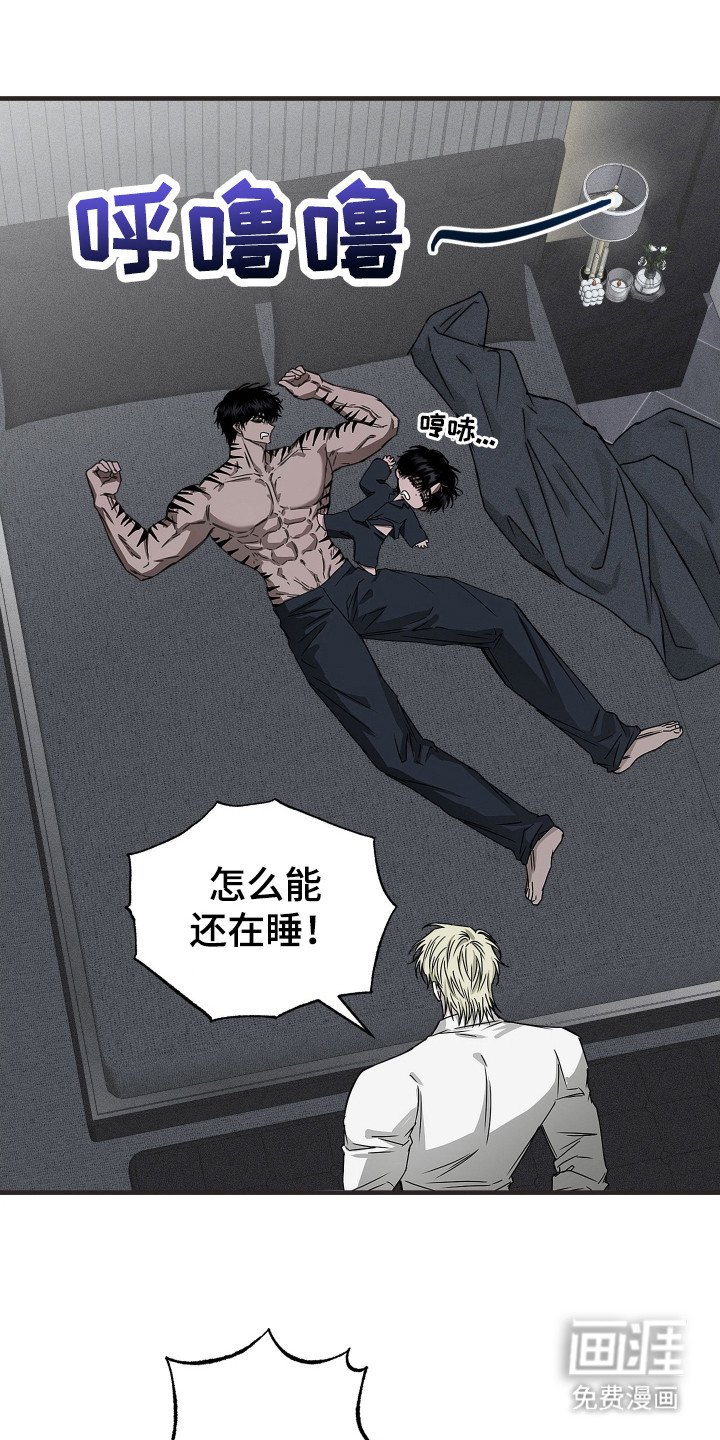 第7章： 调查