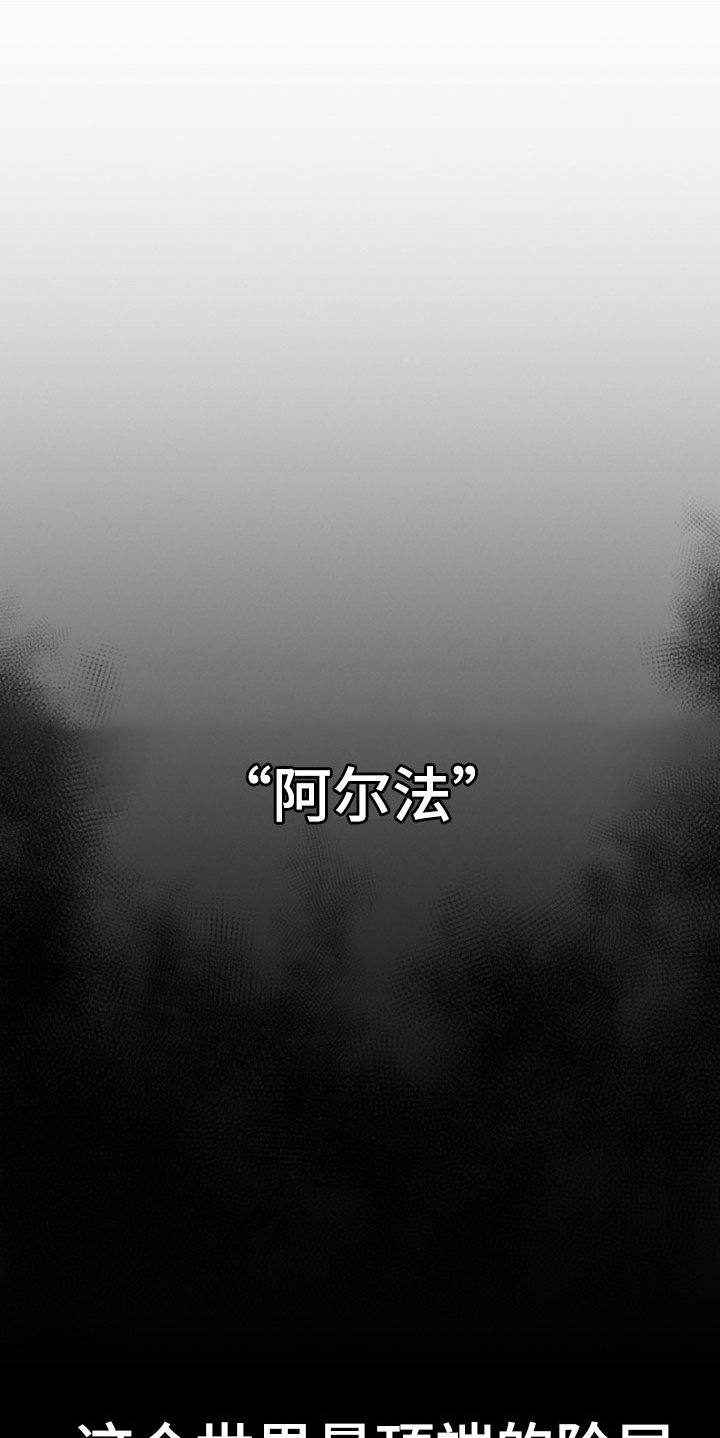第1章：朴社长