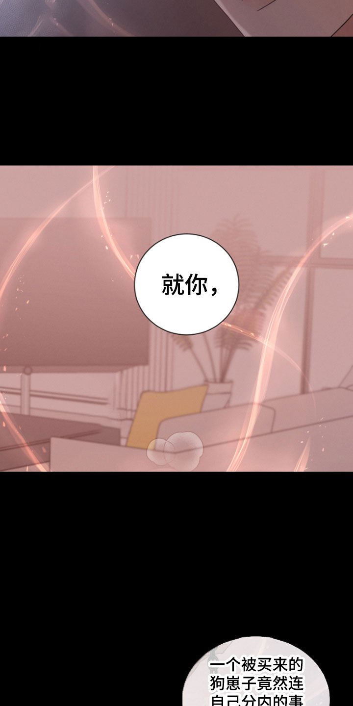 第1章：朴社长