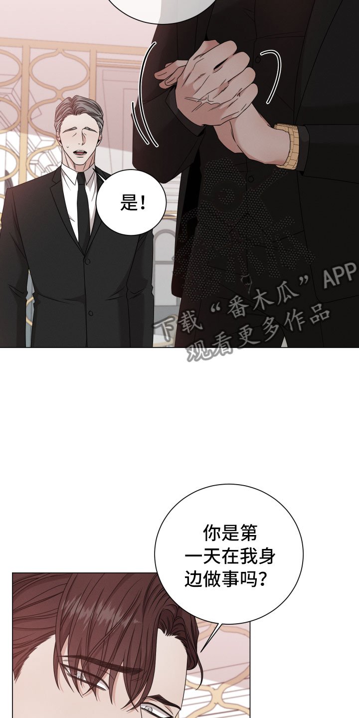 第10章：报告