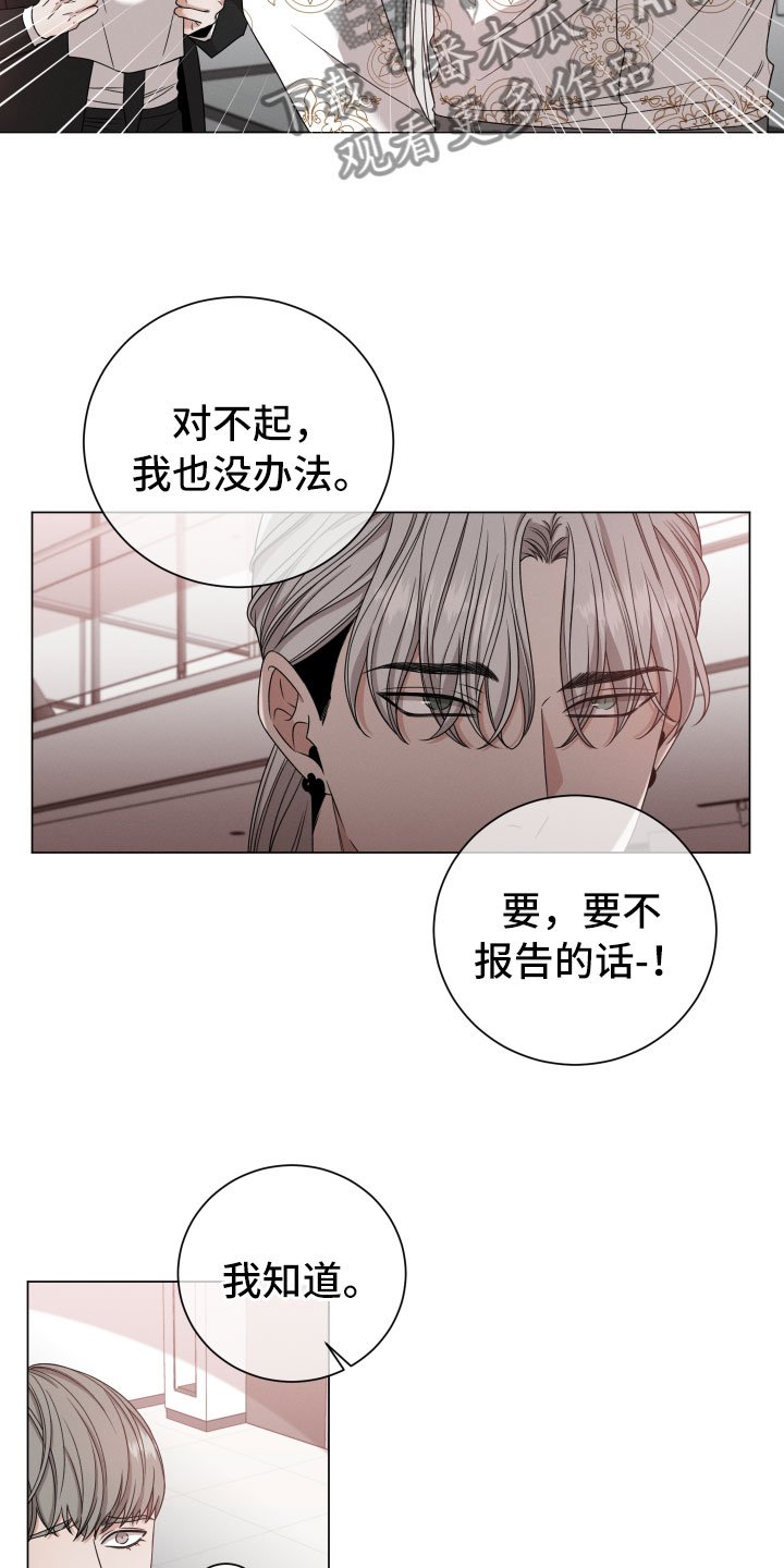 第10章：报告