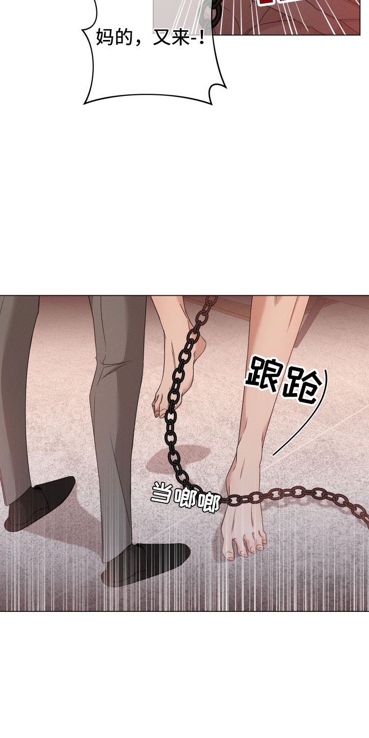 第10章：报告