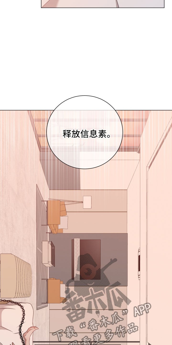 第10章：报告