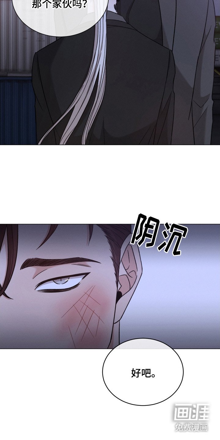 第102章：【第二季】打乱计划